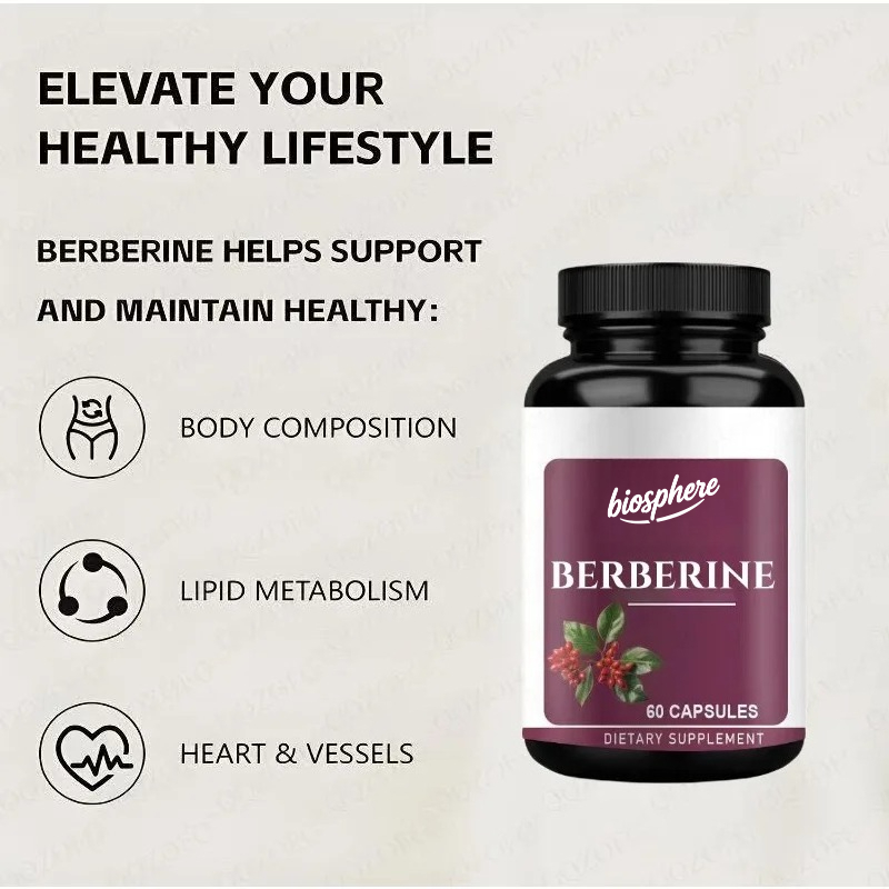 Suplemento Berberine-60 cápsul - Berberine Hcl Capsule avaliação e preço