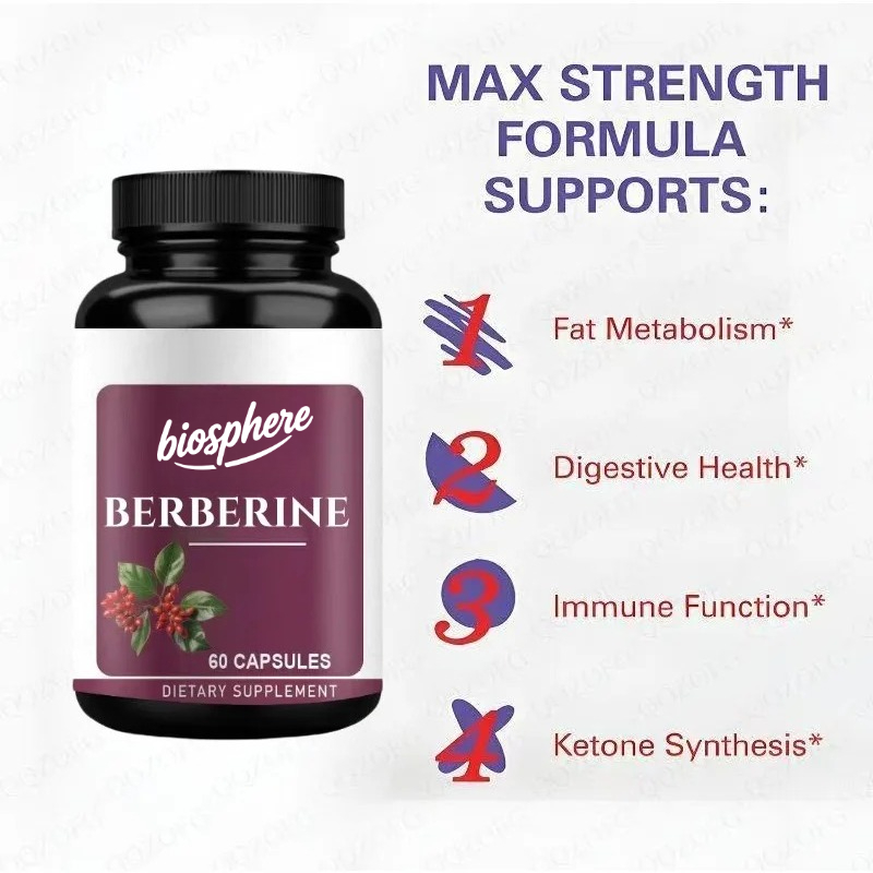 Suplemento Berberine-60 cápsul - Berberine Hcl Capsule avaliação e preço