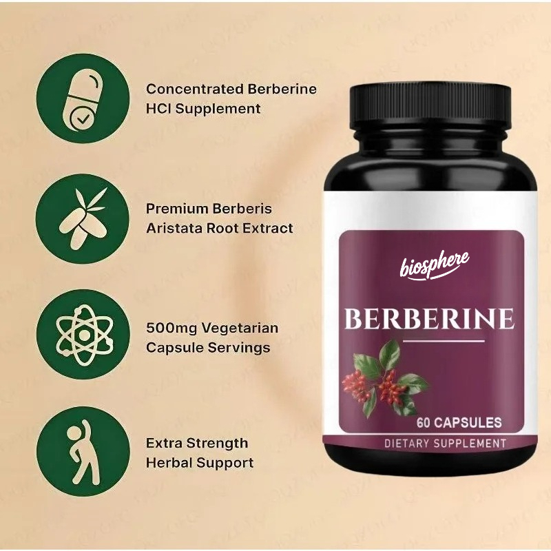 Suplemento Berberine-60 cápsul - Berberine Hcl Capsule avaliação e preço